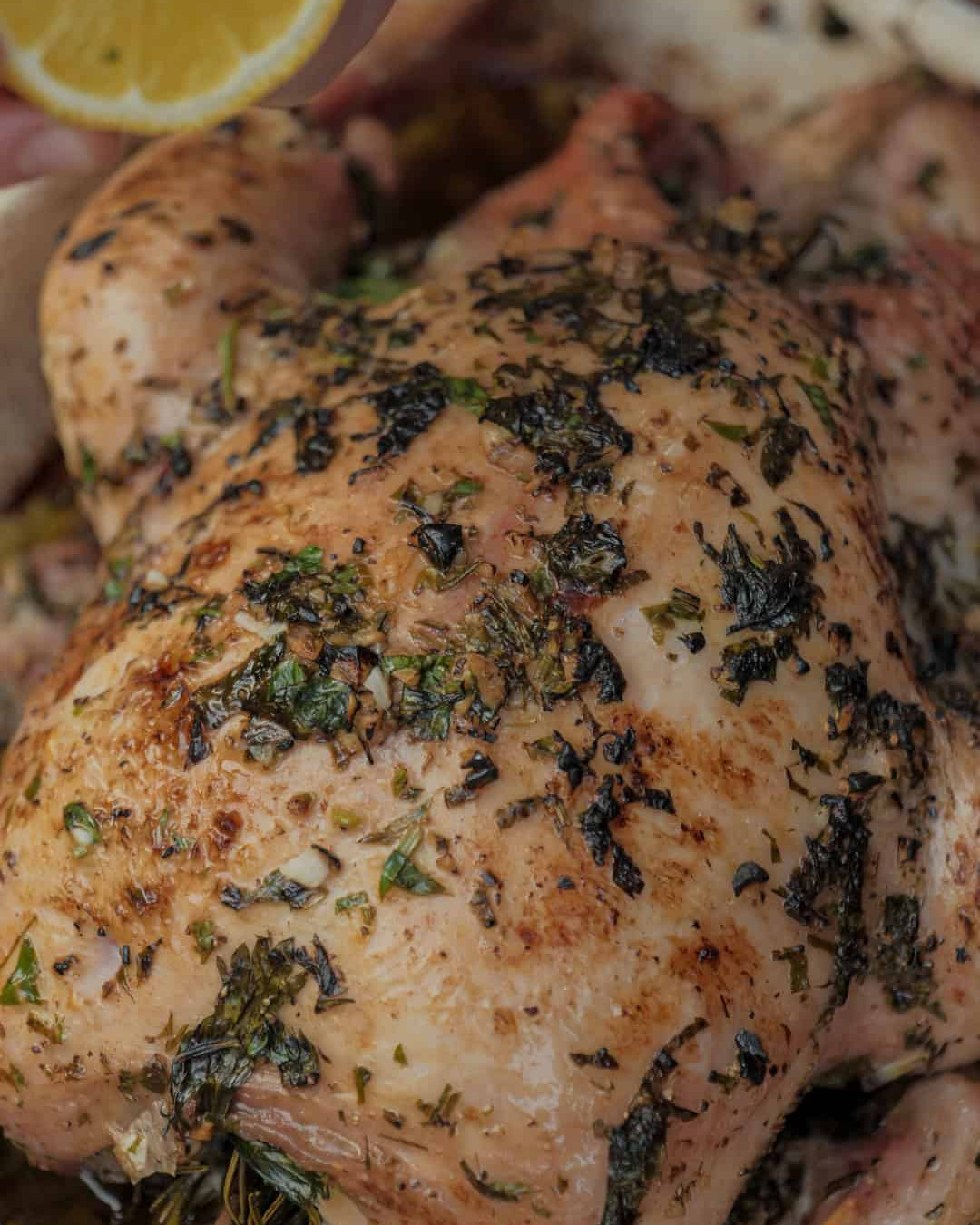 Herb-Roasted Chicken with Garlic and Lemon -Recipe Aldergrills