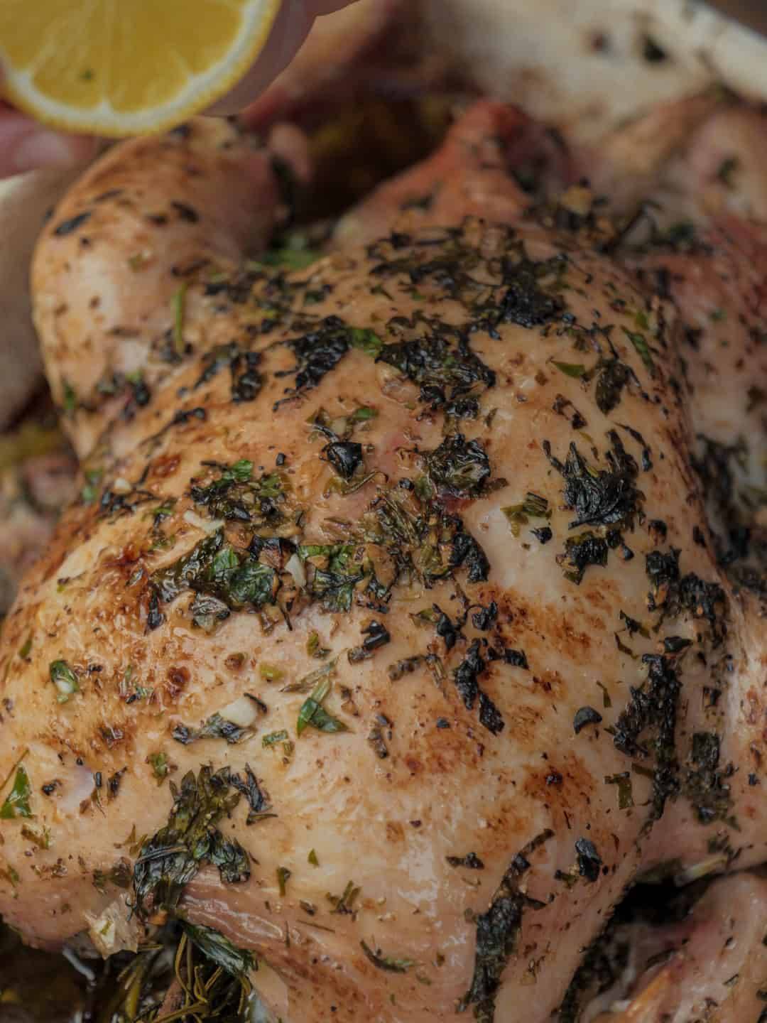 Herb-Roasted Chicken with Garlic and Lemon -Recipe Aldergrills