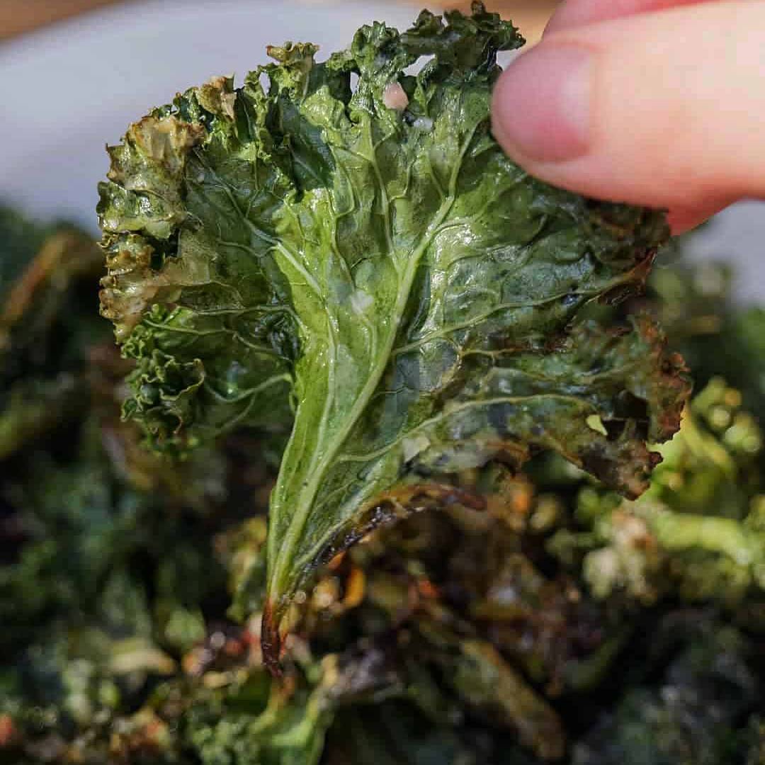 Parmesan-and-Garlic-Kale-Chips-Aldergrills-Recipe