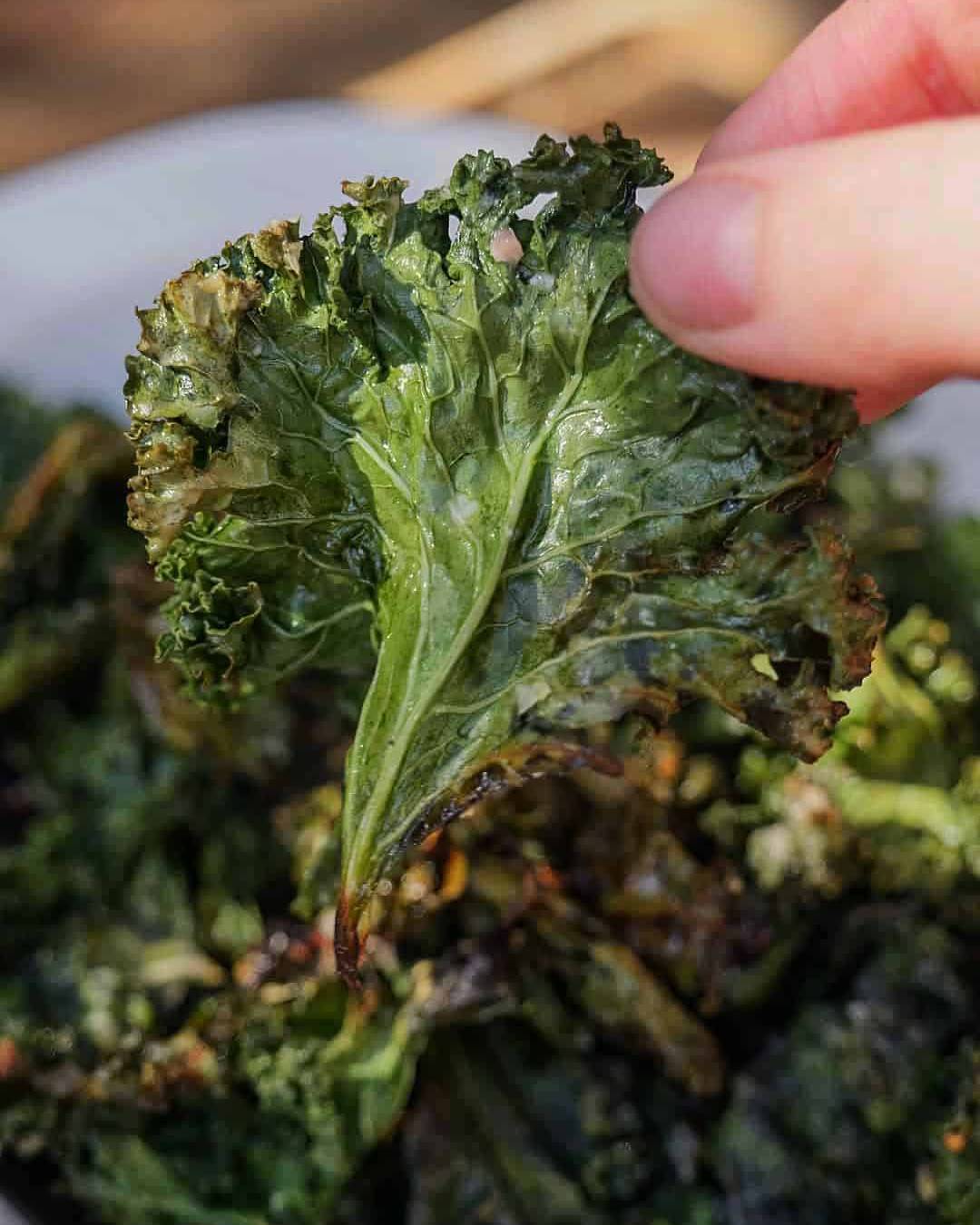 Parmesan-and-Garlic-Kale-Chips-Aldergrills-Recipe