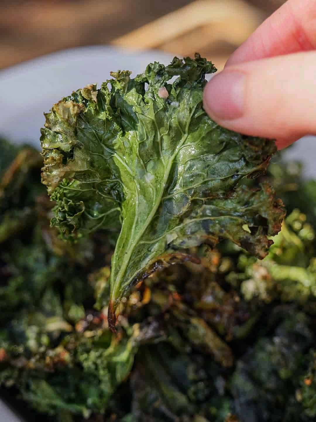 Parmesan-and-Garlic-Kale-Chips-Aldergrills-Recipe