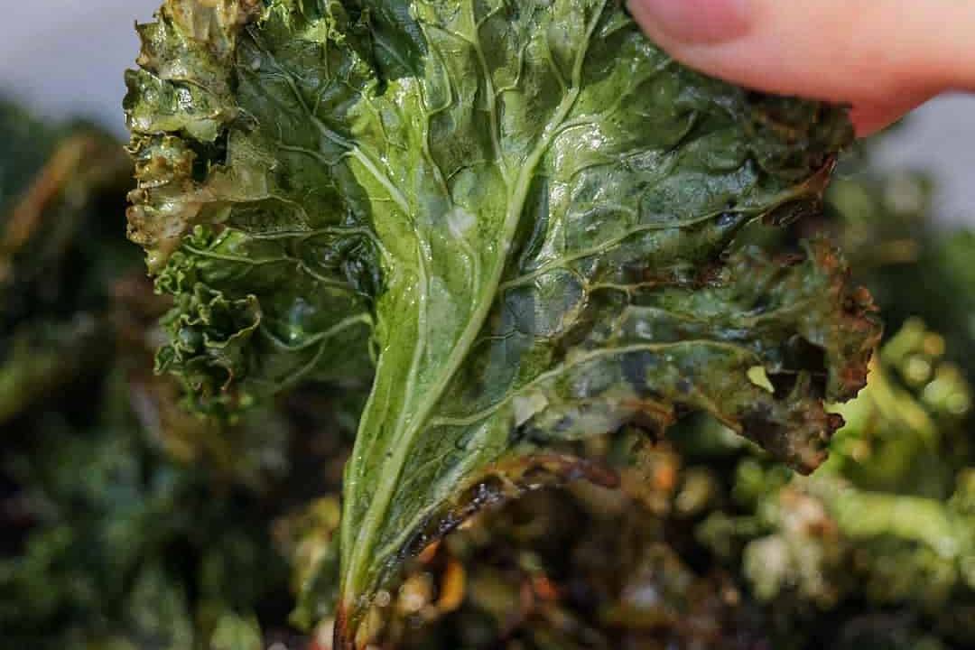 Parmesan-and-Garlic-Kale-Chips-Aldergrills-Recipe